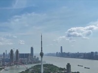 【奮進新征程 建功新時代·非凡十年】奮力描繪湖北高品質發展新畫卷