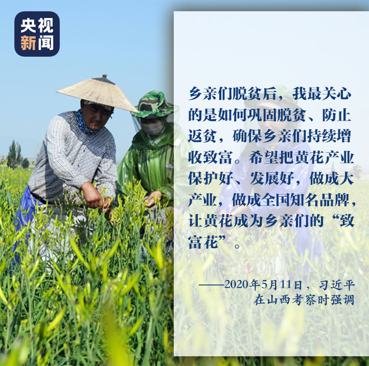 一枝一葉總關情丨讓農民挑上“金扁擔”