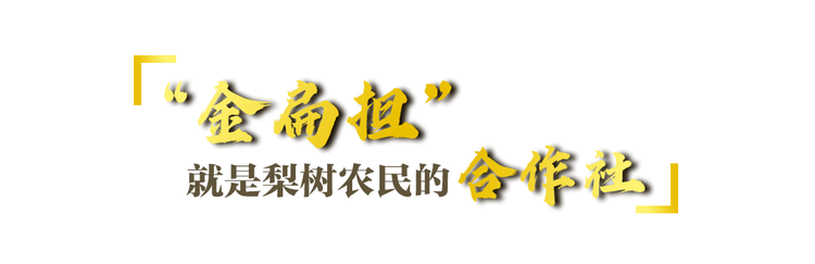 一枝一葉總關情丨讓農民挑上“金扁擔”