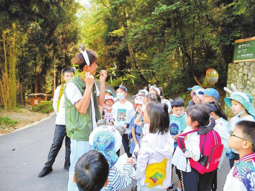 雲南野生動物園為大熊貓“毛竹”慶祝8歲生日_fororder_a08