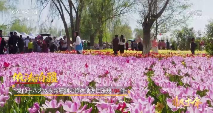【奮進新征程 建功新時代·非凡十年】建設美麗新疆 共圓祖國夢想