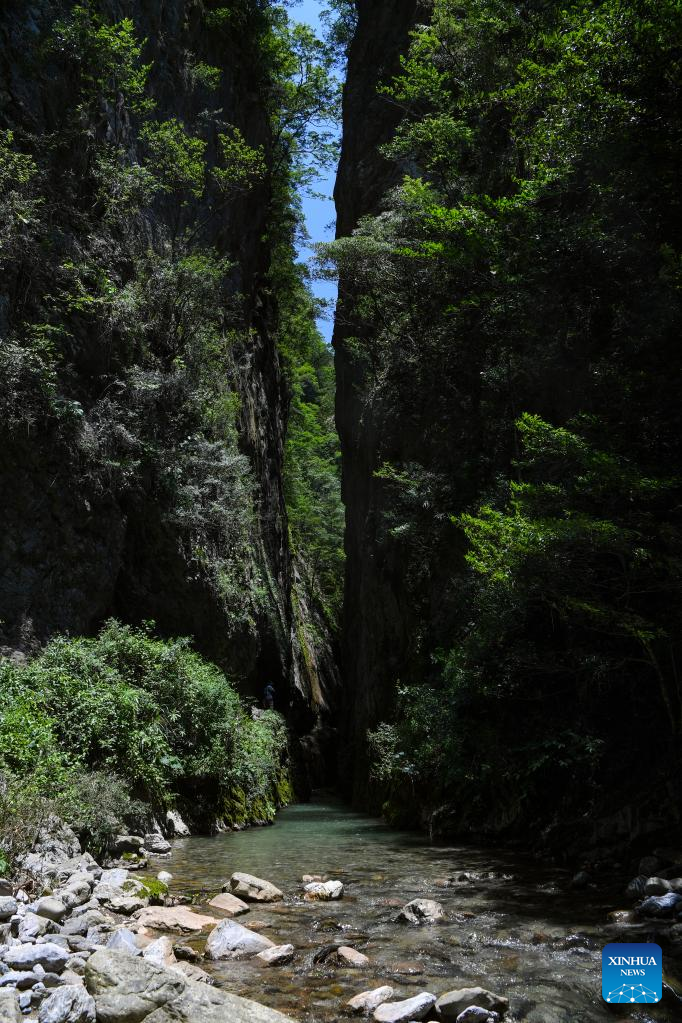 View of Chongqing Wulipo National Nature Reserve in Wushan County, Chongqing_fororder_圖片18