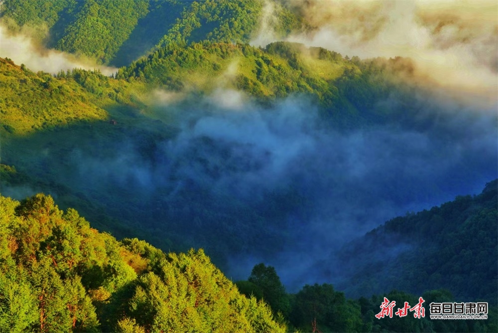 【平涼】平涼華亭關山蓮花臺景區出現壯美雲海景觀_fororder_3