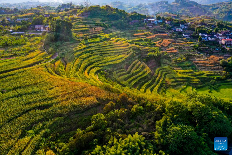 Scenery of Shiping Village in Chongqing, SW China_fororder_圖片2