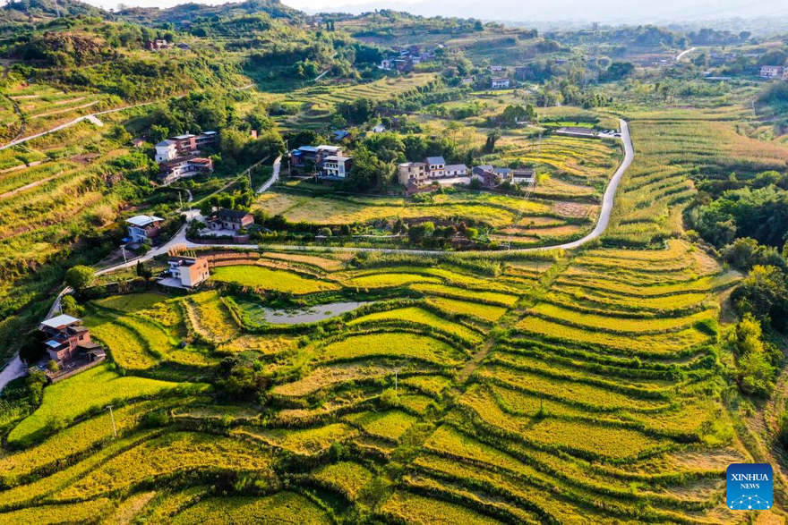 Scenery of Shiping Village in Chongqing, SW China_fororder_圖片7