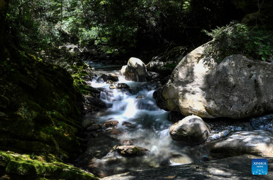 View of Chongqing Wulipo National Nature Reserve in Wushan County, Chongqing_fororder_圖片16