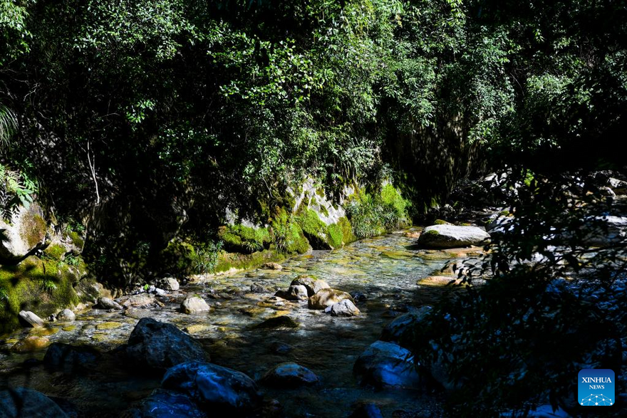 View of Chongqing Wulipo National Nature Reserve in Wushan County, Chongqing_fororder_圖片8