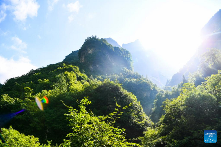 View of Chongqing Wulipo National Nature Reserve in Wushan County, Chongqing_fororder_圖片11