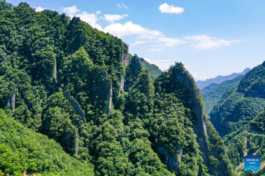 View of Chongqing Wulipo National Nature Reserve in Wushan County, Chongqing_fororder_圖片14