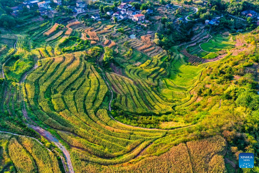 Scenery of Shiping Village in Chongqing, SW China_fororder_圖片4