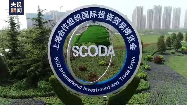 總臺專訪丨巴基斯坦學者：上合組織將為解決全球問題帶來積極變化