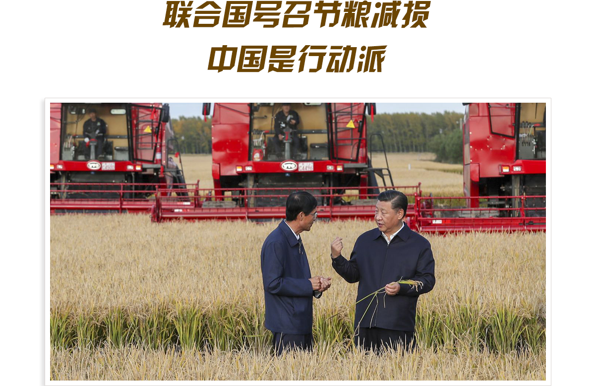頭圖_fororder_PC-金色