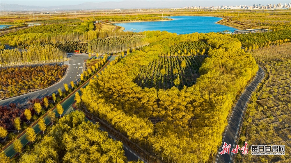 張掖奧林匹克森林公園秋色濃_fororder_5