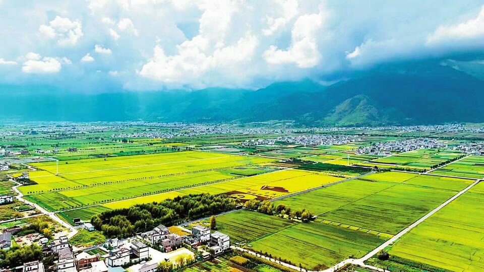 雲南農墾：在市場中熔煉“綠色雲品”靚麗名片_fororder_193