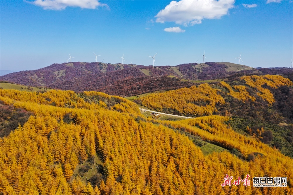 【天水】天水張家川關山秋色關不住了_fororder_6