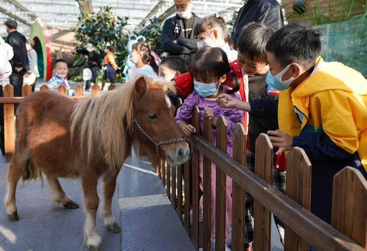 新華全媒+丨活力中國 樂享假期