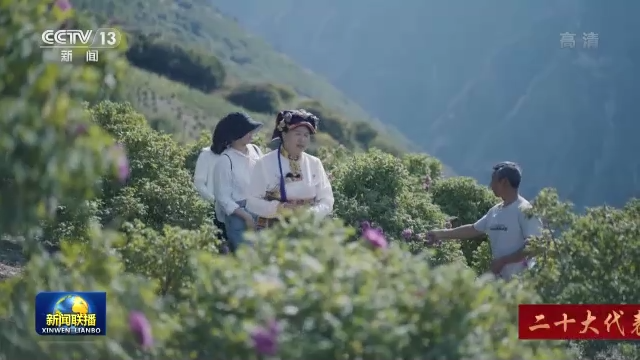 二十大代表風采丨陳望慧：大家一起致富是我的心願