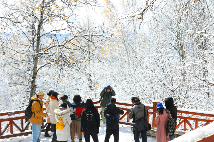 圖片默認標題_fororder_在阿爾山國家森林公園內來一場打雪仗。賴志強攝