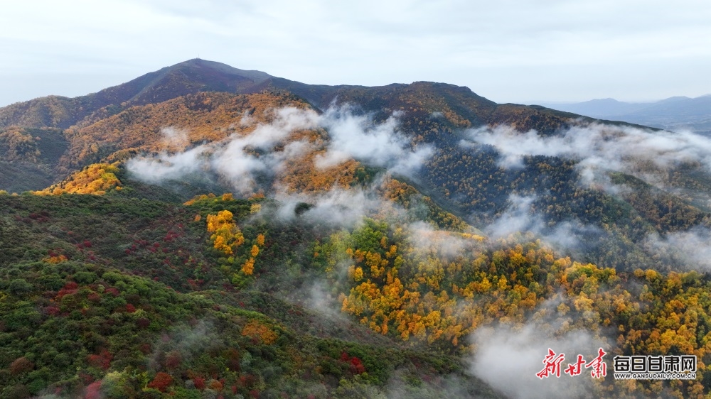 【輪播圖】蘭州：晚秋煙雨著墨色 興隆美景醉山巒_fororder_3