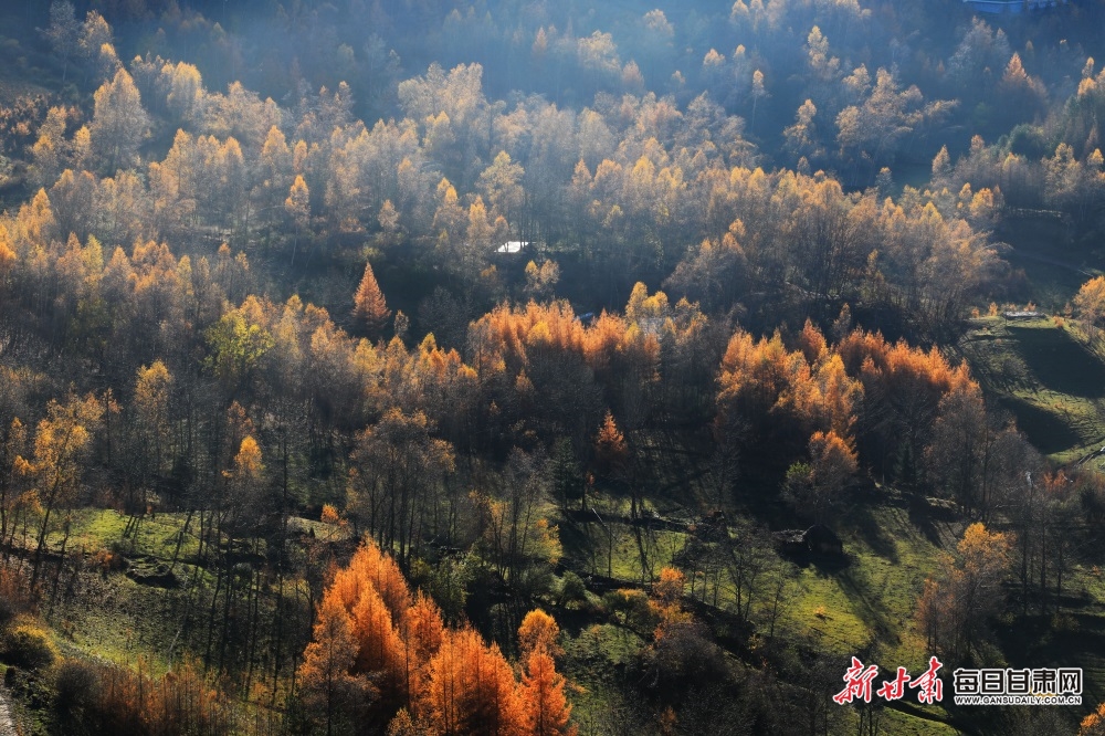 【輪播圖】隴南：紅葉漫山林 秋風染農舍_fororder_3