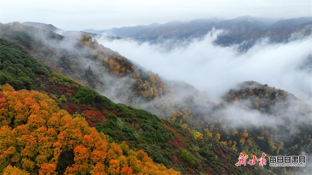 【輪播圖】蘭州：晚秋煙雨著墨色 興隆美景醉山巒_fororder_2