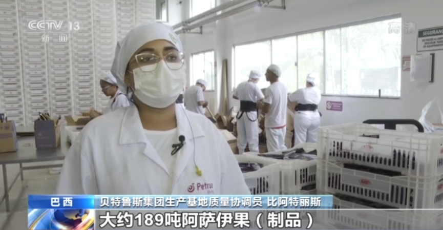 共享進博新機遇丨巴西特産“阿薩伊”亮相進博會