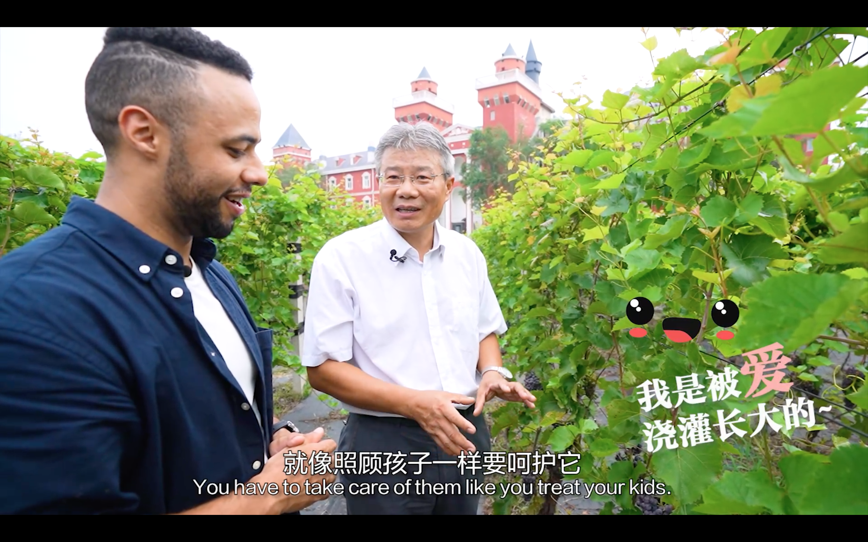 【我在中國挺好的·第二季】探尋葡萄藤串起的中德情緣_fororder_Screenshot 2022-10-13 at 15.33.12