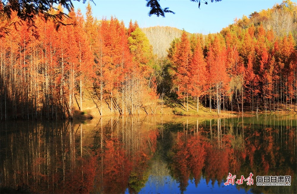 【輪播】隴南：在兩當邂逅秦嶺深處的最美姿彩
