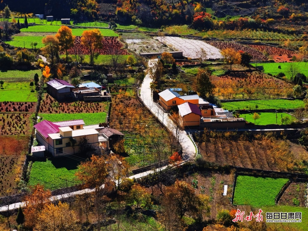 【大美甘肅】甘南：林海曲徑到藏寨 雲端山峰聳奇秀