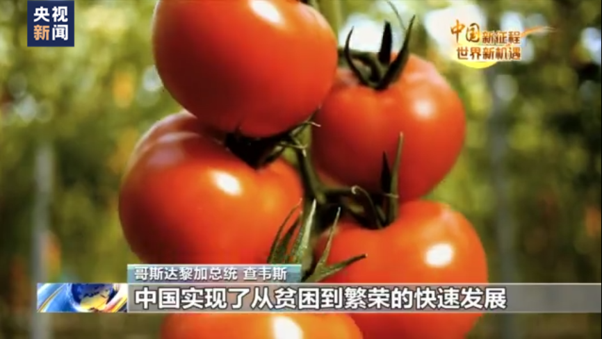 中國新征程 世界新機遇丨哥斯達黎加總統：二十大對世界影響深遠