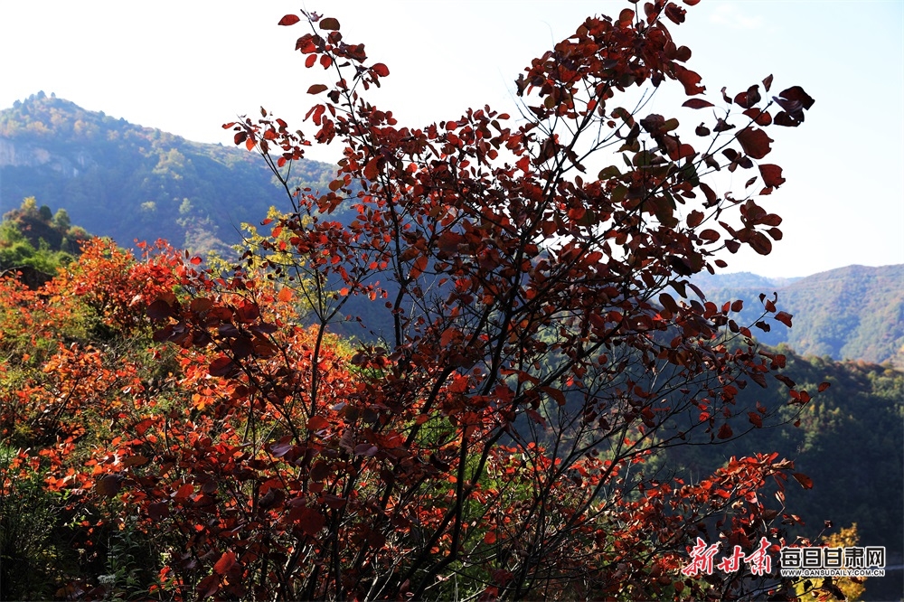隴南：深秋，兩當山鄉似濃墨重彩的山水畫_fororder_4