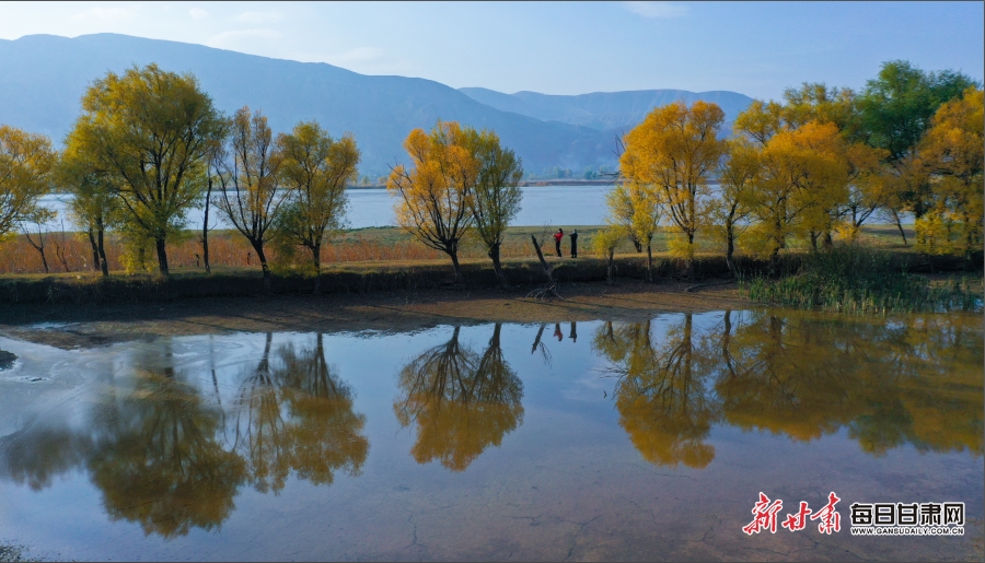 【輪播圖】臨夏：驚秋黃葉遍峰巒 永靖山鄉畫意濃