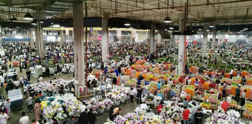 昆明呈貢：五大特色産業打造高品質發展新引擎_fororder_3