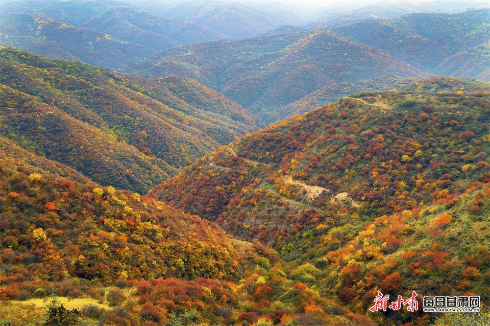 【大美甘肅】平涼崇信唐帽山風景區冬韻_fororder_3
