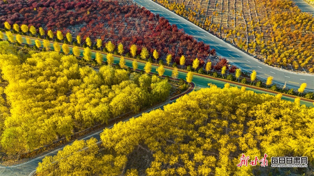 張掖奧林匹克森林公園秋色濃_fororder_7