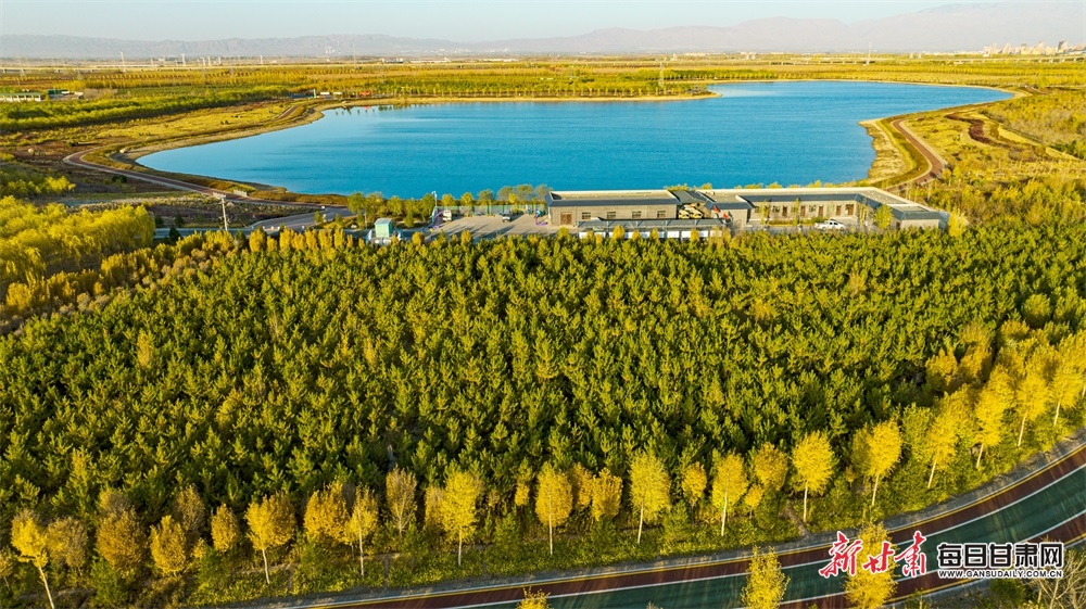 張掖奧林匹克森林公園秋色濃_fororder_3