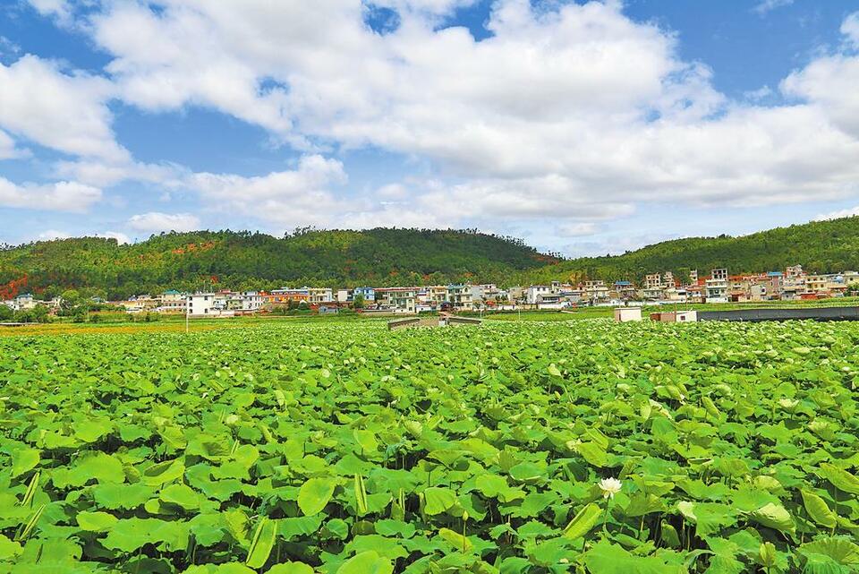 紅河建水：景村融合塑新貌_fororder_412