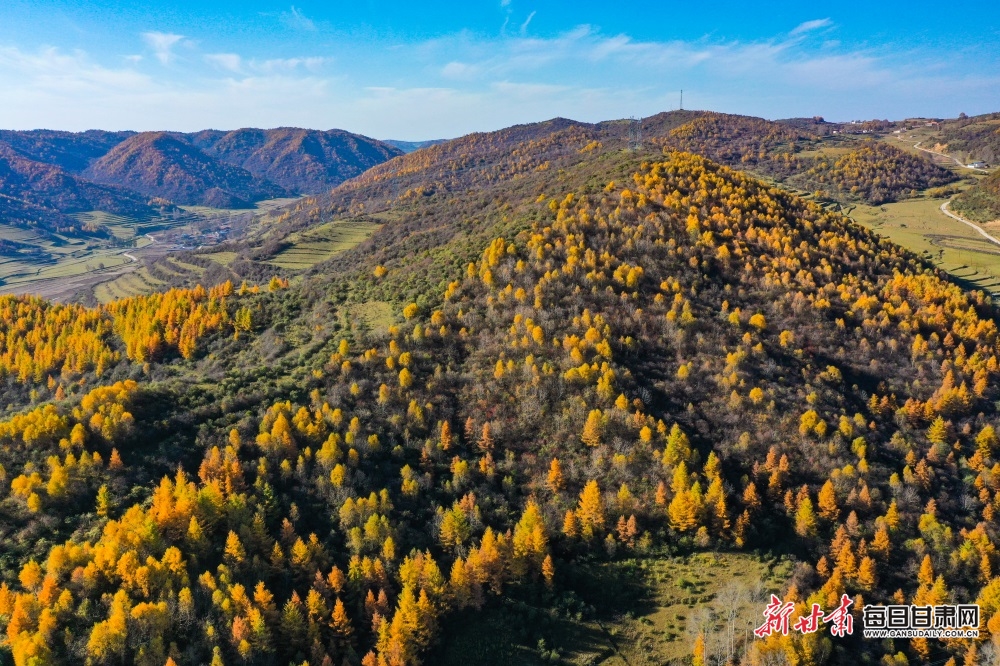 【天水】天水張家川關山秋色關不住了_fororder_5