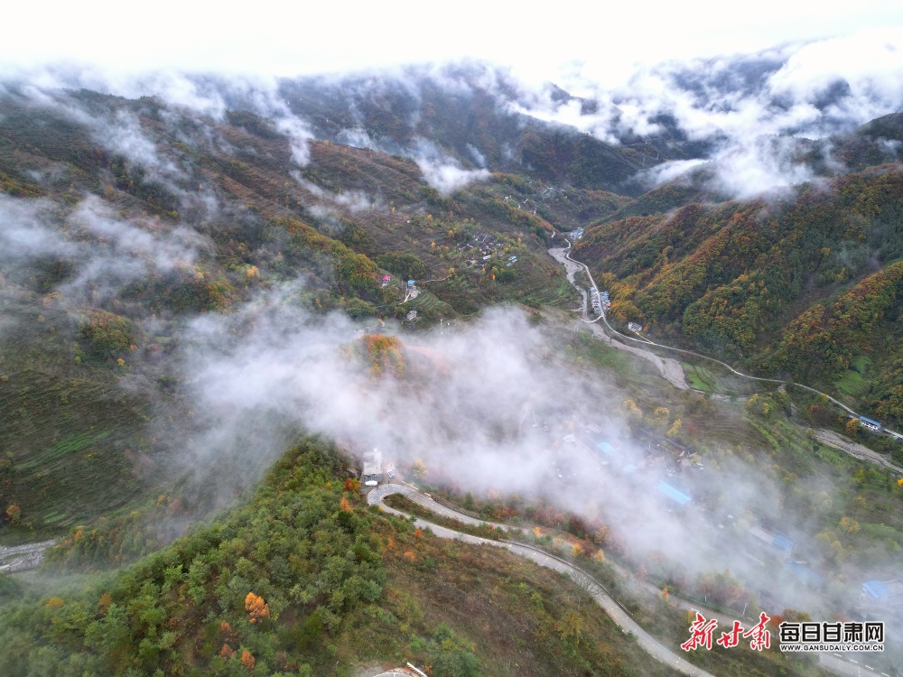 【大美甘肅】隴南：秋葉樹樹黃 薄霧依山巒_fororder_5