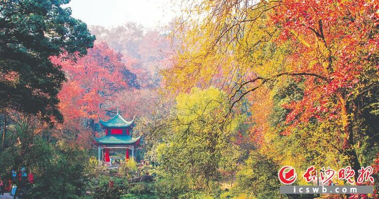 湖南長沙：心之所向 常來“長”往