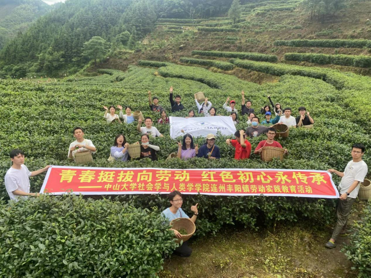 小茶葉成為鄉村振興的致富葉_fororder_小茶葉成為鄉村振興的致富葉950