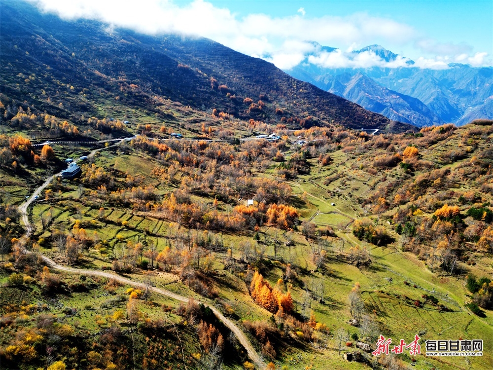 【輪播圖】隴南：紅葉漫山林 秋風染農舍_fororder_7