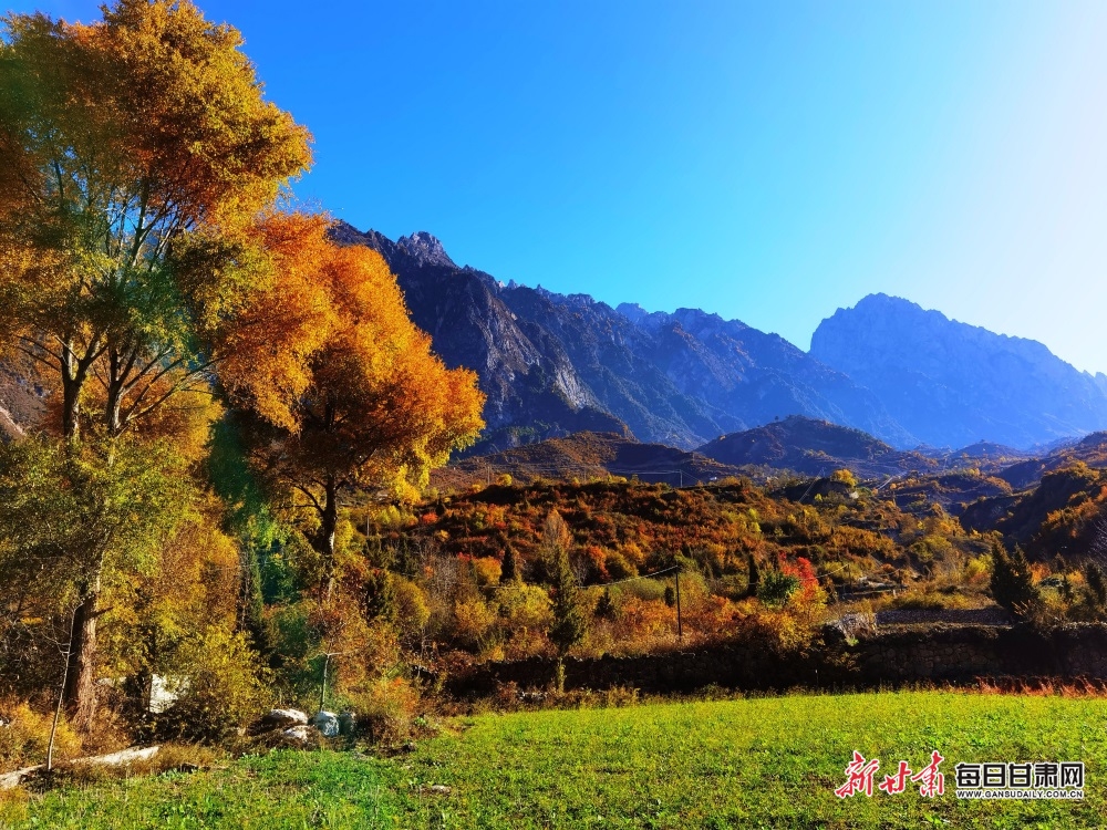 【大美甘肅】甘南：林海曲徑到藏寨 雲端山峰聳奇秀