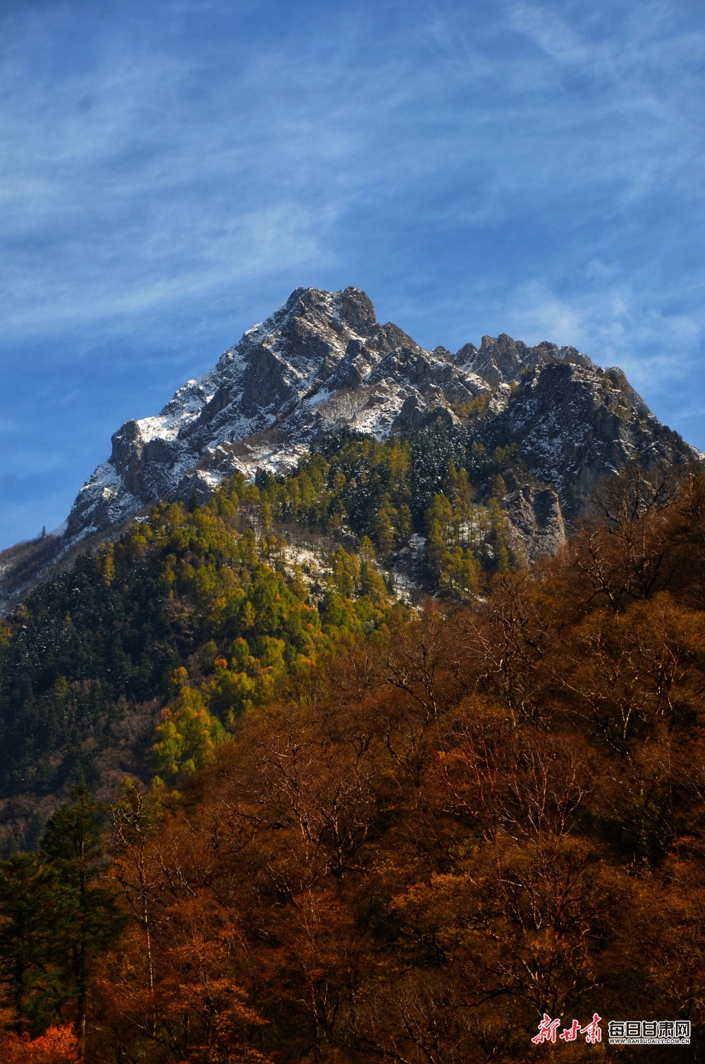【大美甘肅】隴南：秋末冬初，官鵝溝風景這邊獨好