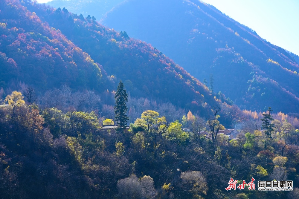 【大美甘肅】隴南：秋末冬初，官鵝溝風景這邊獨好