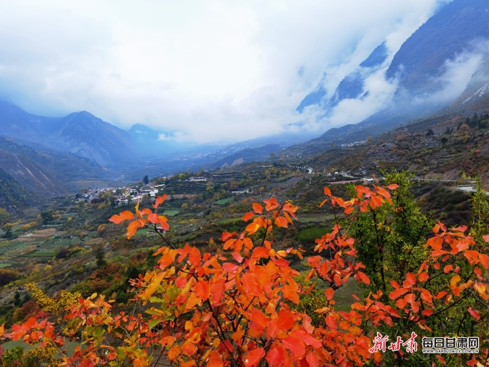 【大美甘肅】甘南：林海曲徑到藏寨 雲端山峰聳奇秀