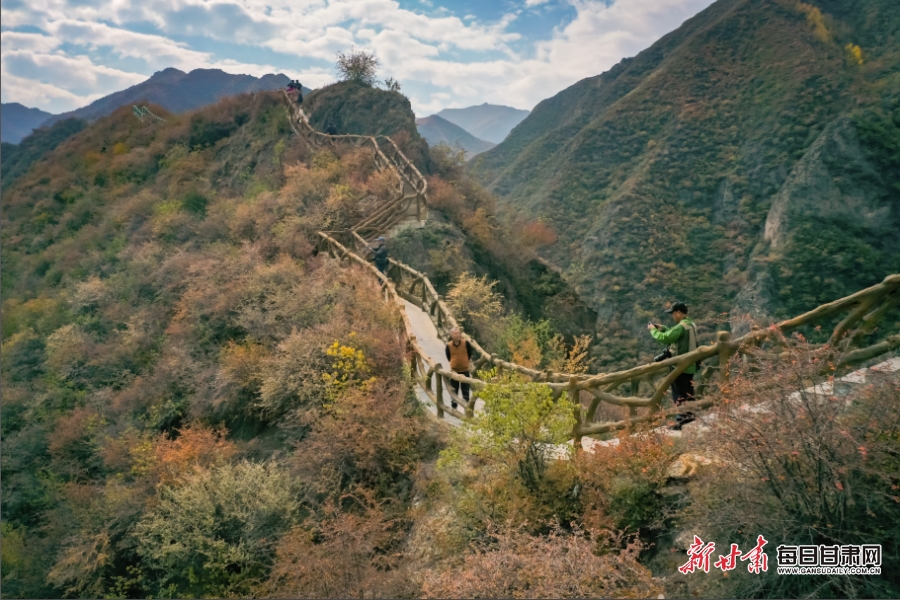 【輪播圖】臨夏：驚秋黃葉遍峰巒 永靖山鄉畫意濃
