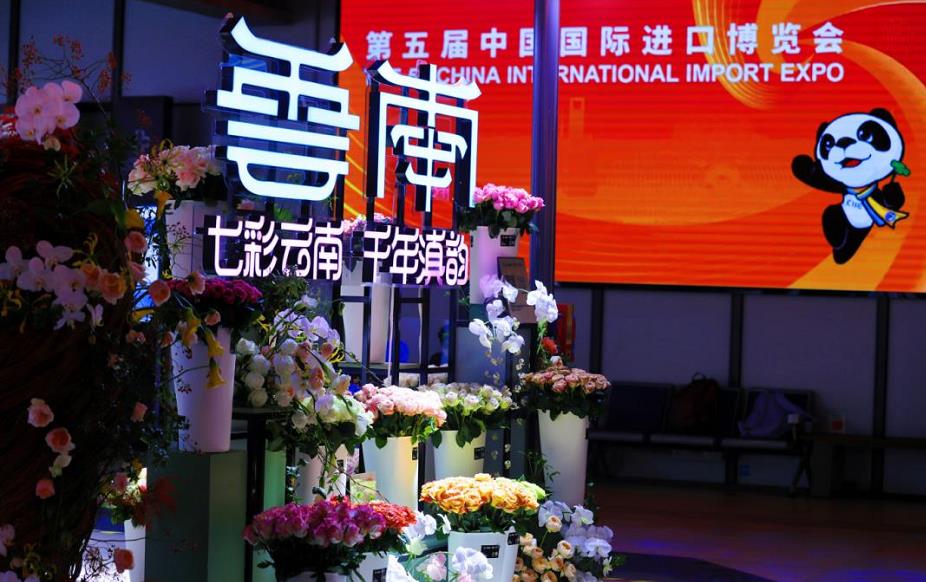 “進博會”上“靚”眼的雲南元素_fororder_1