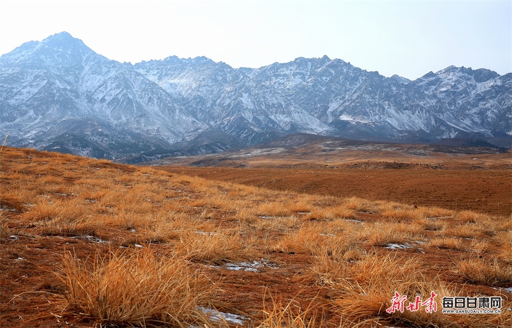 【輪播圖】張掖肅南蒼龍雪山冬日美景迎遠客_fororder_5