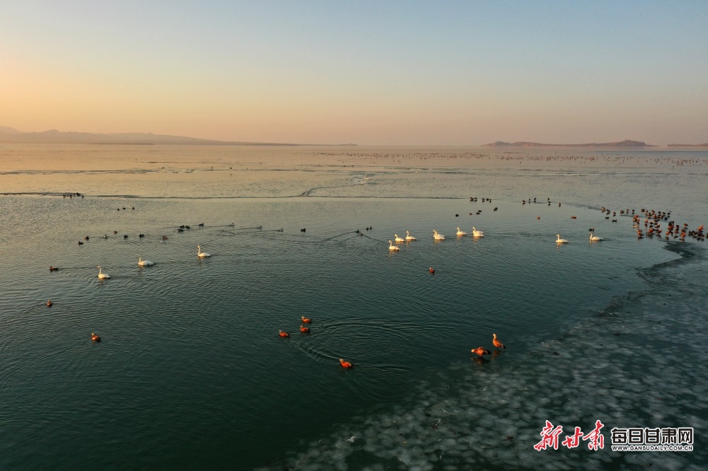 【輪播圖】民勤：深冬紅崖 候鳥港灣_fororder_10